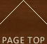 pagetop
